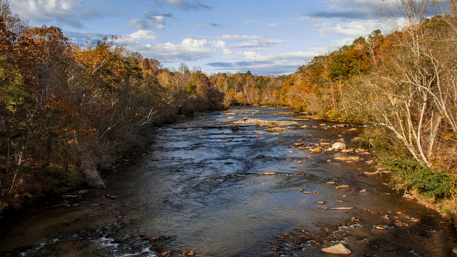 Mayo River in Mayo River State Park sits on 400 acres in Stoneville. The park is filled with picnic grounds, small finishing ponds and a network of hiking trails. 