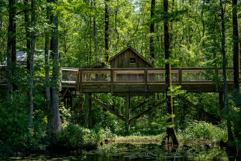 Windsor Roanoke Cashie River Center